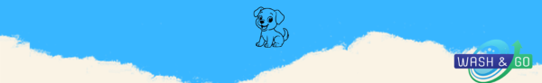 Máquina Pet: saiba todos os detalhes sobre esse diferencial da nossa solução!